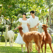 蜈支洲岛-盛夏可爱颂