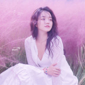 雪山基地-云裳花色浓