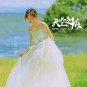 洱海树林-天空之城