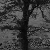 神州半岛-ONLY  YOU