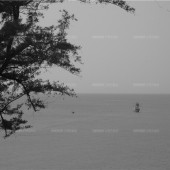 神州半岛-ONLY  YOU