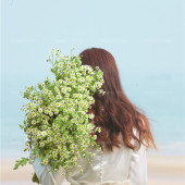 日月湾-仲夏森雅