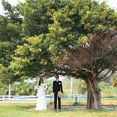 日月湾-仲夏森雅