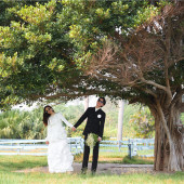 日月湾-仲夏森雅