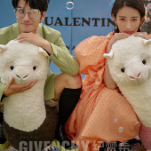 呆呆岛-硬糖少女