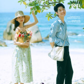 呆呆岛-Summer wind