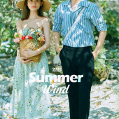 呆呆岛-Summer wind
