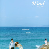 呆呆岛-Summer wind