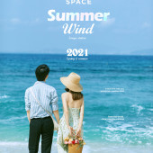 呆呆岛-Summer wind