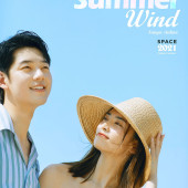 呆呆岛-Summer wind