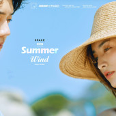 呆呆岛-Summer wind