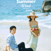 呆呆岛-Summer wind
