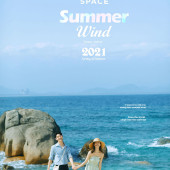 呆呆岛-Summer wind