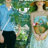 呆呆岛-Summer wind