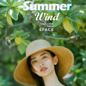 呆呆岛-Summer wind