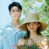 呆呆岛-Summer wind