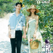 呆呆岛-Summer wind