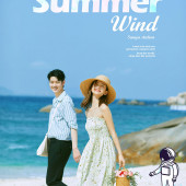 呆呆岛-Summer wind