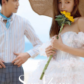 呆呆岛-Sun flower