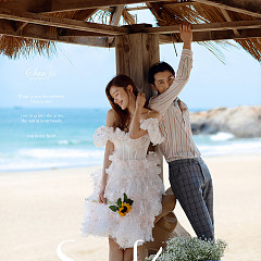 呆呆岛-Sun flower