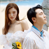 呆呆岛-Sun flower