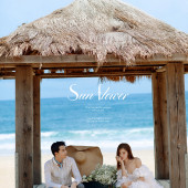 呆呆岛-Sun flower