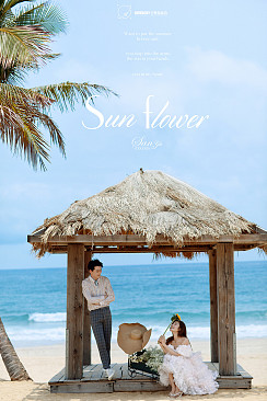 呆呆岛-Sun flower