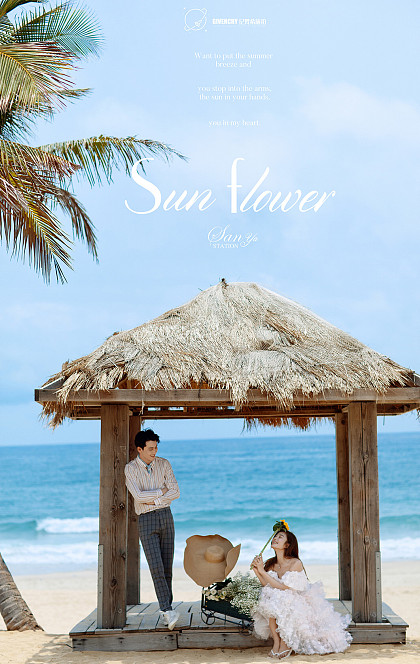 呆呆岛-Sun flower