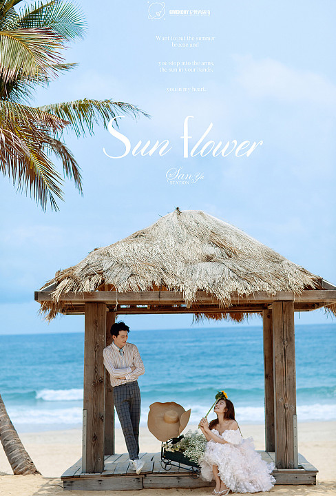 呆呆岛-Sun flower