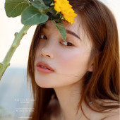 呆呆岛-Sun flower