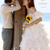 呆呆岛-Sun flower