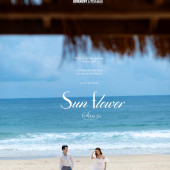 呆呆岛-Sun flower