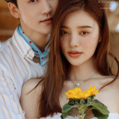 呆呆岛-Sun flower