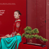 内景系列-共度朝暮里