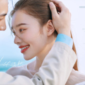 呆呆岛-By Accident （偶然）