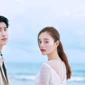 呆呆岛-By Accident （偶然）