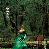 云杉坪-映画森林