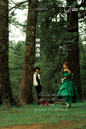 云杉坪-映画森林