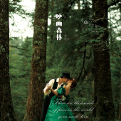 云杉坪-映画森林