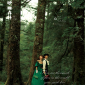 云杉坪-映画森林