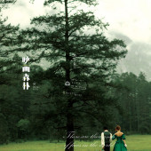 云杉坪-映画森林