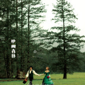 云杉坪-映画森林