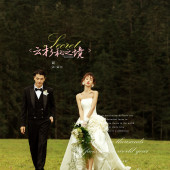 云杉坪-云杉秘之境