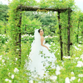 听花谷-特别の婚礼