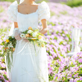 海西里里-未闻花已浓