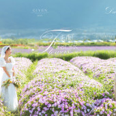 海西里里-未闻花已浓