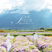 海西里里-未闻花已浓