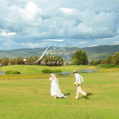 海西里里-未闻花已浓