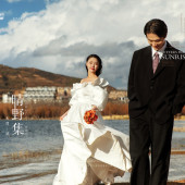 晴野集-海东树林海边