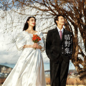 晴野集-海东树林海边